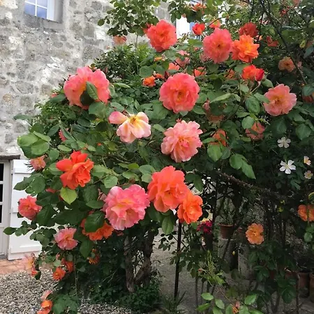 L'horizon De Marianne Bed & Breakfast Montagnac-sur-Auvignon