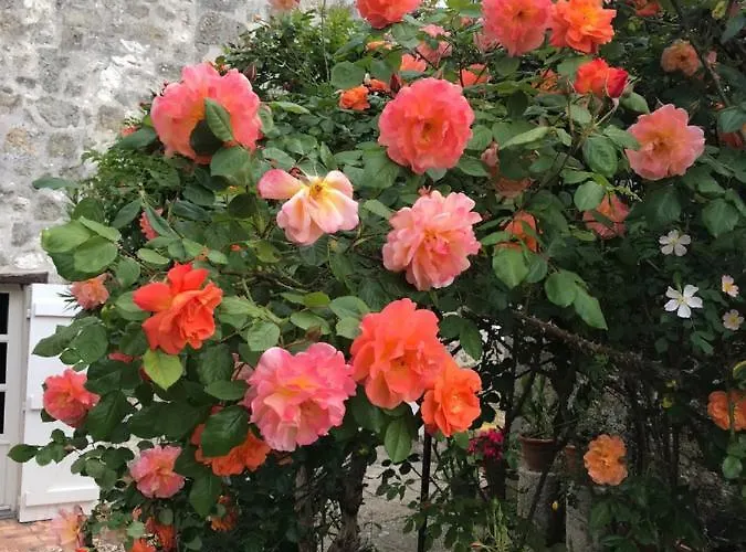 L'horizon De Marianne Bed & Breakfast Montagnac-sur-Auvignon