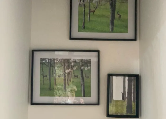 Bed & Breakfast L'horizon De Marianne Montagnac-sur-Auvignon